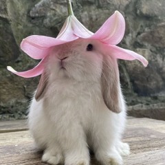 Caitlin