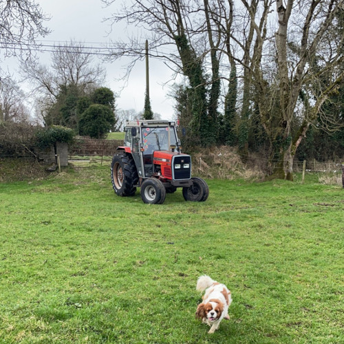 zach bryan: dawns (sped up)