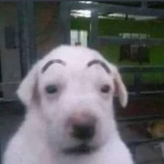ε=ε=ε=ε=ε=ε=┌(;￣◇￣)┘