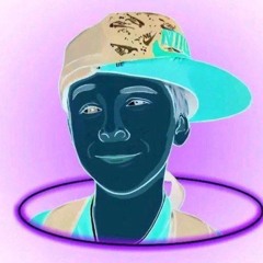 V1zor