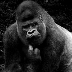Evolved Ape 🦍