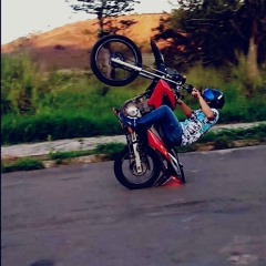DOGRAU_031