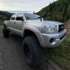 Максим Николаев