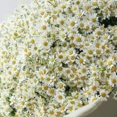 Sara h cover  Le pardon