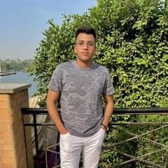 Abdelrhman Amr