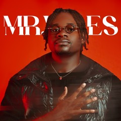 Mr.Vibes