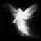Razan