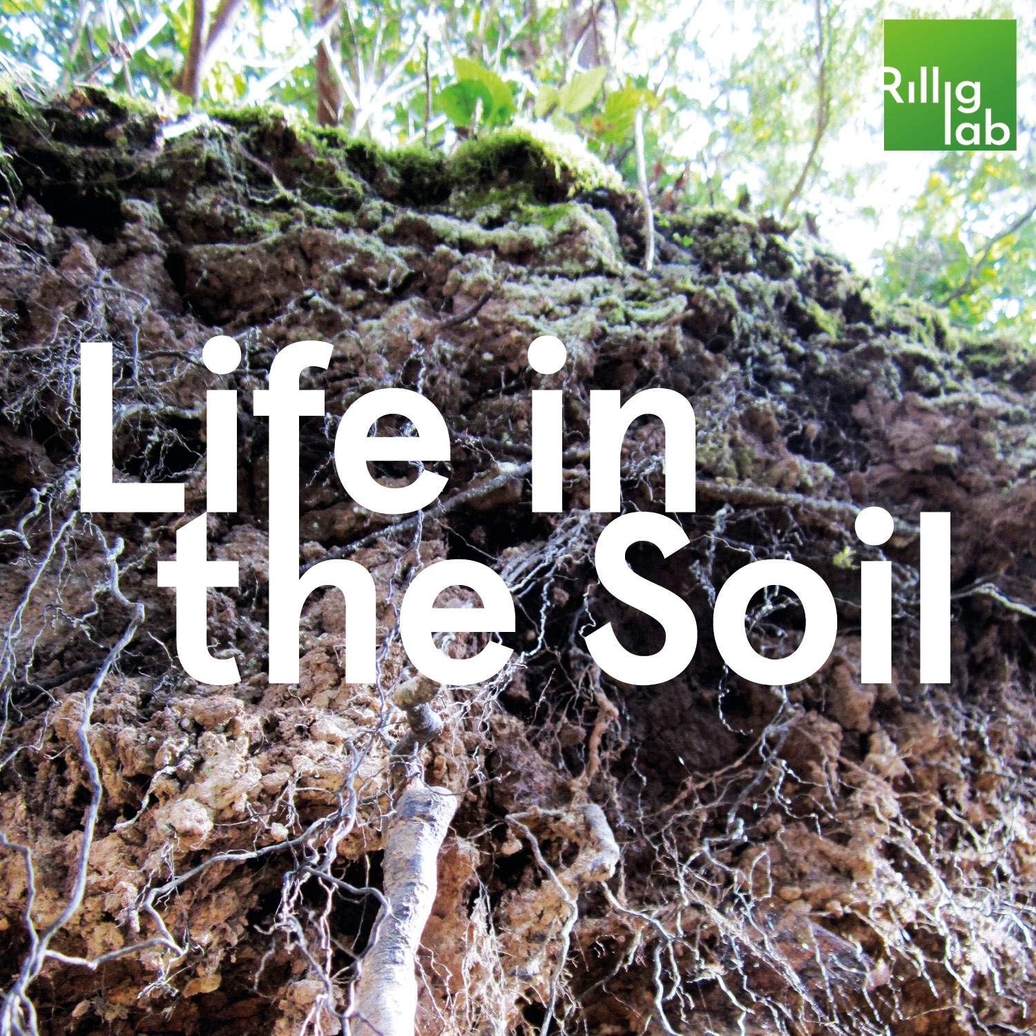 Living Soil – a Habitat Hidden from View