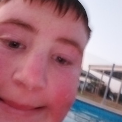 steely