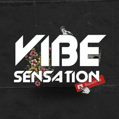 Vibe Sensation