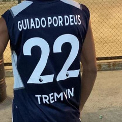 Luis Felipe Ventutra Silva