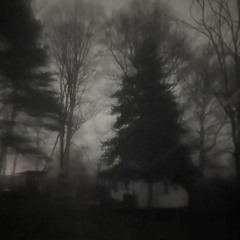 mirrorshade