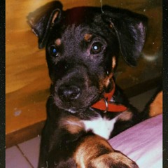 cristian leon de judah