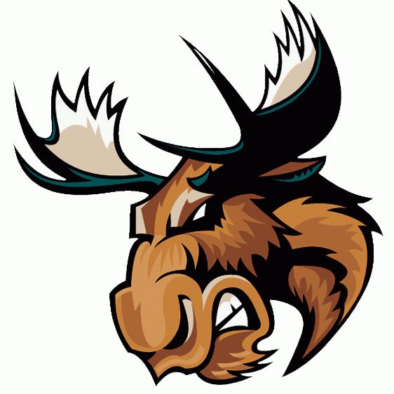 MISTER MOOSE