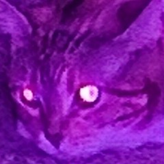 BLACK PHILLIP