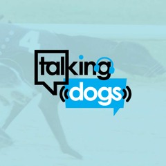 Talking Dogs on Thursday