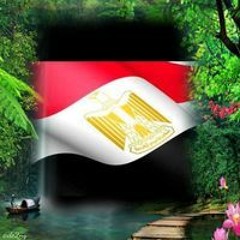 شريف الدهشورى