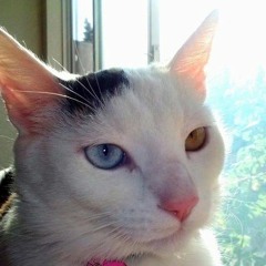 The Approximate moment of death