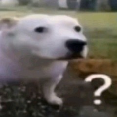 ilovealexgsomuchalexgadoptme