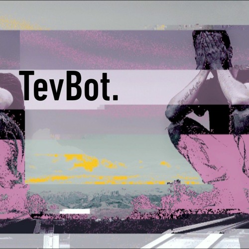 TevBot.’s avatar
