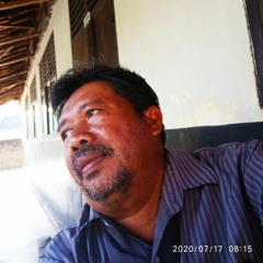 Dardo