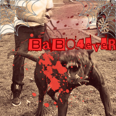 babo4ever