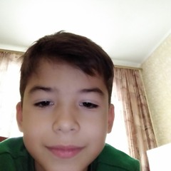 Денис Шараев