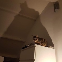 𝓢𝓪𝓷𝓽𝓪𝓷𝓪