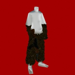 voo