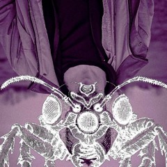 TRANSANT