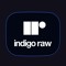 indigo-raw records