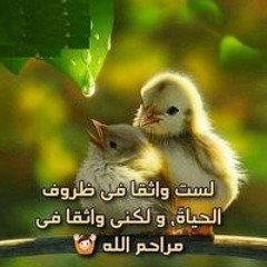 روماني نسيم