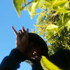 Dracoxstarkid_RSA