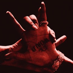 45.CANE