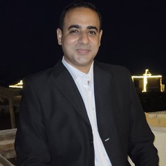 mohamed Elmaghawry