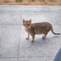 메모장