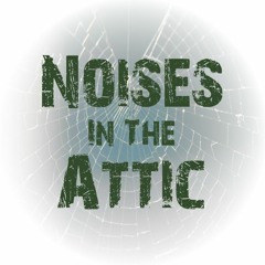 Noises In The Attic