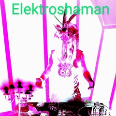 ElektroShaman