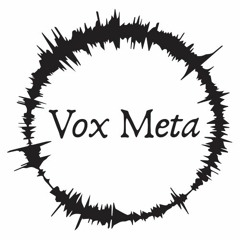VoxMeta
