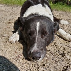 Ken WoKØcK Ultra InstinKt aW°⁰∅ō Ken Patient K Ö=Ø