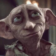 Dobby 2024 the elf