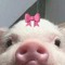 yoobabieo
