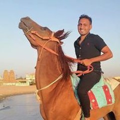 Mohmed Ahmed Ashry
