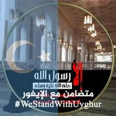 سلمي فرحات