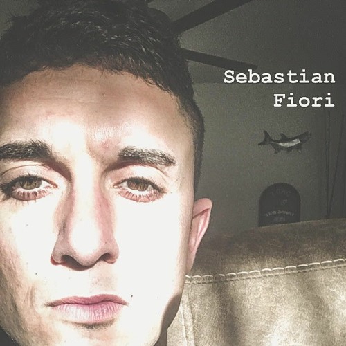 Sebastian Fiori’s avatar