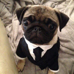 Древний разговор