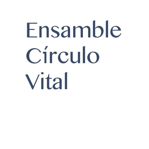 ENSAMBLE CIRCULO VITAL’s avatar