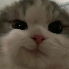 Chu