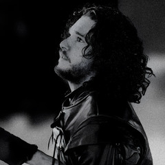 The King In The North