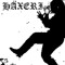 gunsler